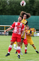 Buckley v Chester-3