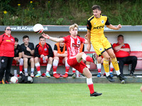 Buckley v Chester-9