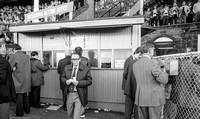 Chester Races 4