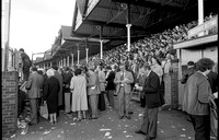 Chester Races 5