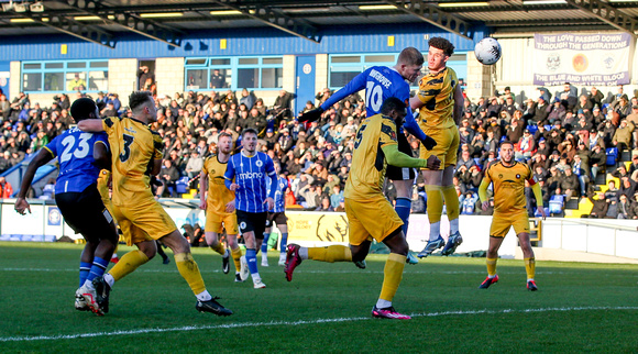 Chester v Rushall Olympic-14
