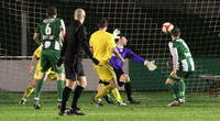 BRADFORD PARK AVENUE V CHESTER-6