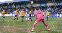 CHESTER v TORQUAY UNITED (11 of 28)