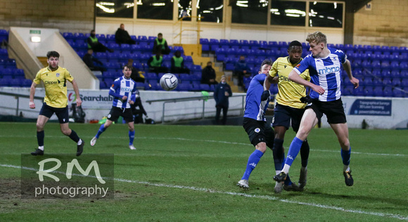 Chester v Guiseley-1