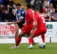 Chester v Kidderminster Harriers-14