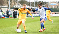 GUISELEY v CHESTER (3 of 37)