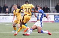 SUTTON UNITED v CHESTER (15 of 34)