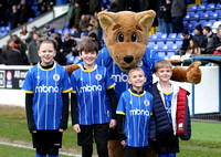 Chester v Alfreton Town-3