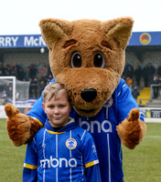 Chester v Rushall Olympic-4
