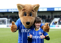 Chester v Alfreton Town-6